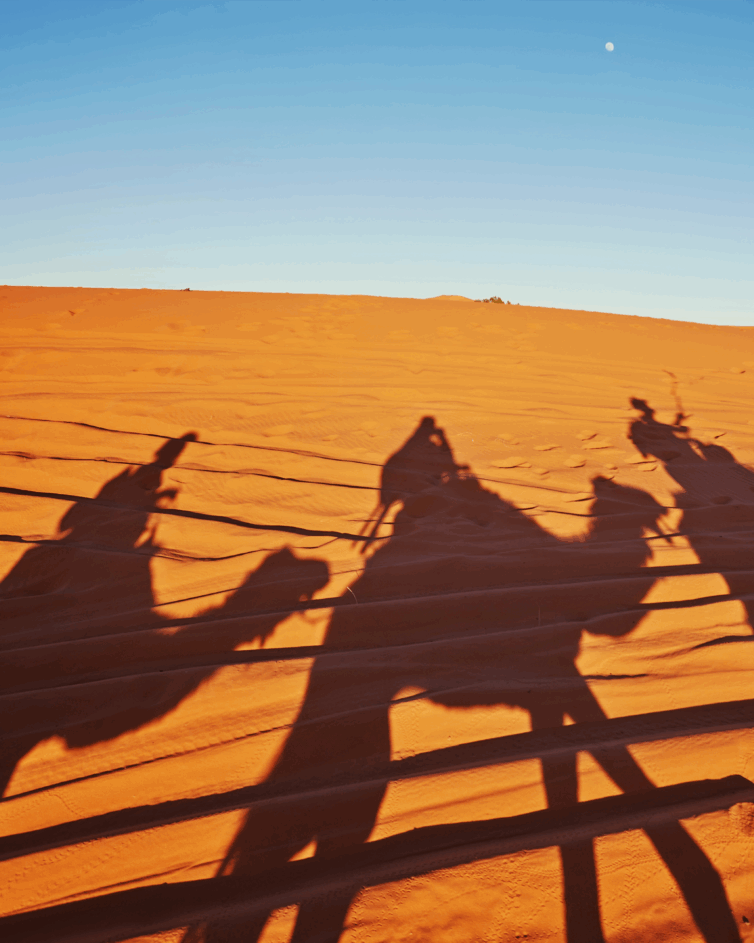 Empower tourism and cultural heritage associations/ NGOs at local community -a CSR project. Year: 2023